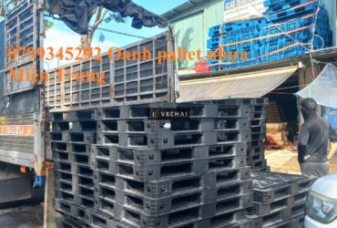 Pallet nhựa Quảng Nam thanh lý số lượng lớn – 0799 345 292