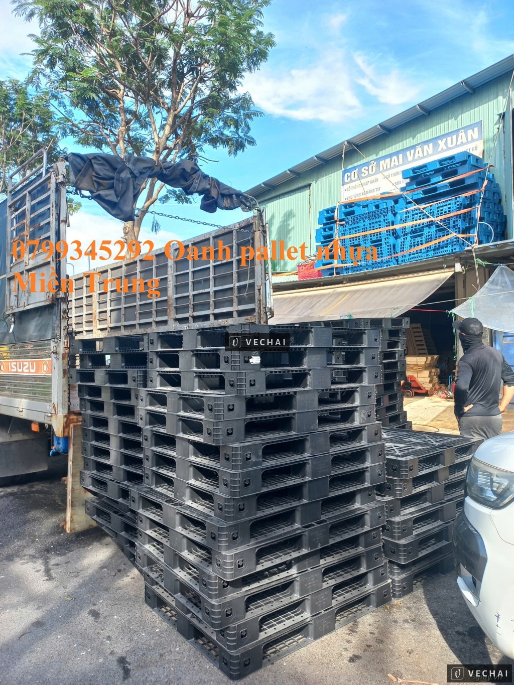 Pallet nhựa Quảng Nam thanh lý số lượng lớn – 0799 345 292