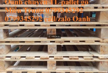 Thanh lý pallet gỗ kê hàng Quảng Nam – Liên hệ 0799345292