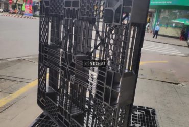 Thanh lý pallet nhựa Quảng Trị cho kho nông sản mùa mưa – LH 0799.345.