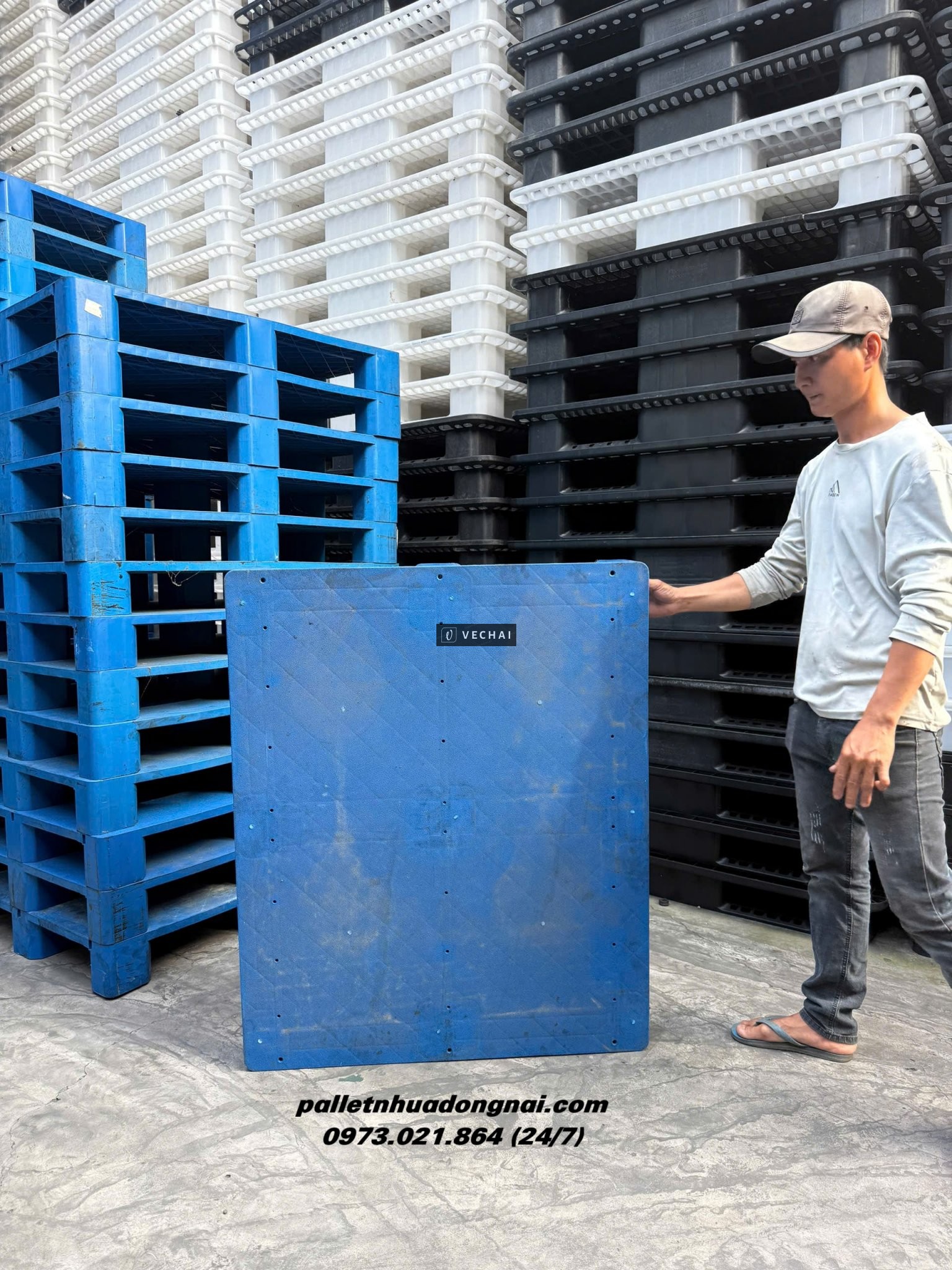 ♻️ Thanh Lý Lô Pallet Nhựa Mặt Bít Giá Rẻ ♻