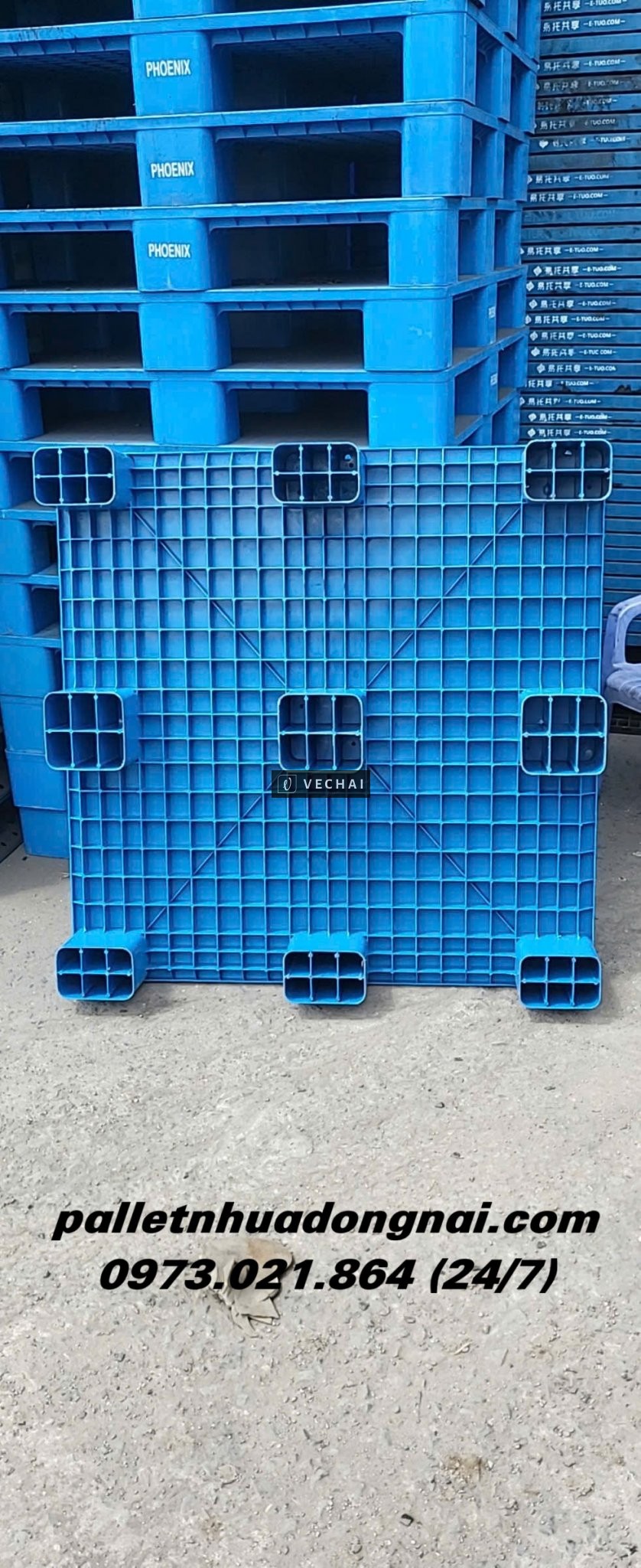 ♻️ Thanh Lý Lô Pallet Nhựa Mặt Bít Giá Rẻ ♻