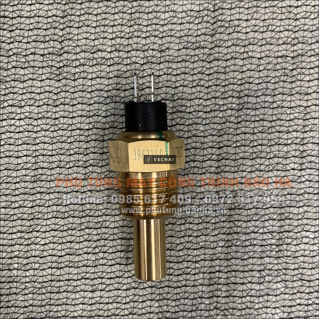 Cảm biến nhiệt độ nước C3967250 — Cho Cummins 6BT5.9G2