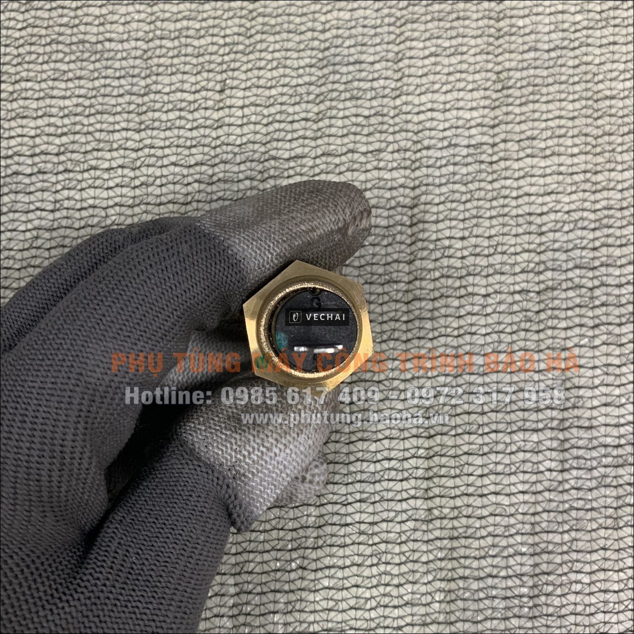 Cảm biến nhiệt độ nước C3967250 — Cho Cummins 6BT5.9G2