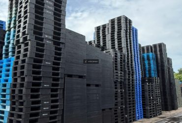 Thanh Lý Lô Pallet Nhựa Cũ Giá Rẻ – Hàng Đẹp Như Mới!