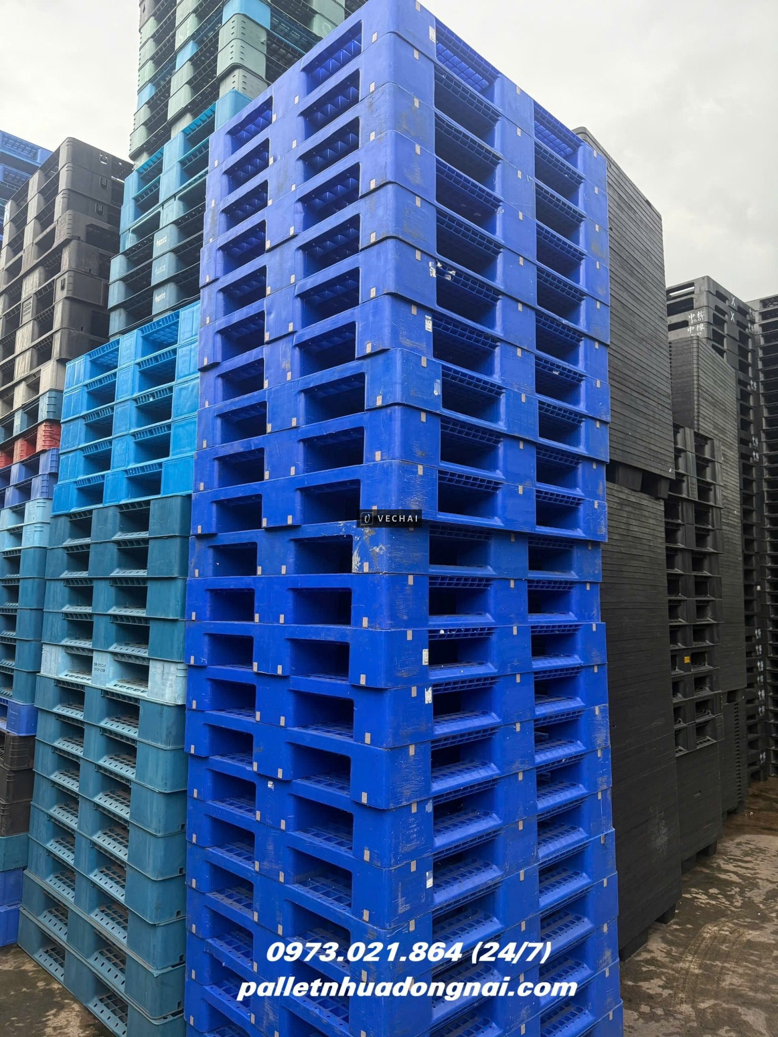 Thanh Lý Lô Pallet Nhựa Cũ Giá Rẻ – Hàng Đẹp Như Mới!