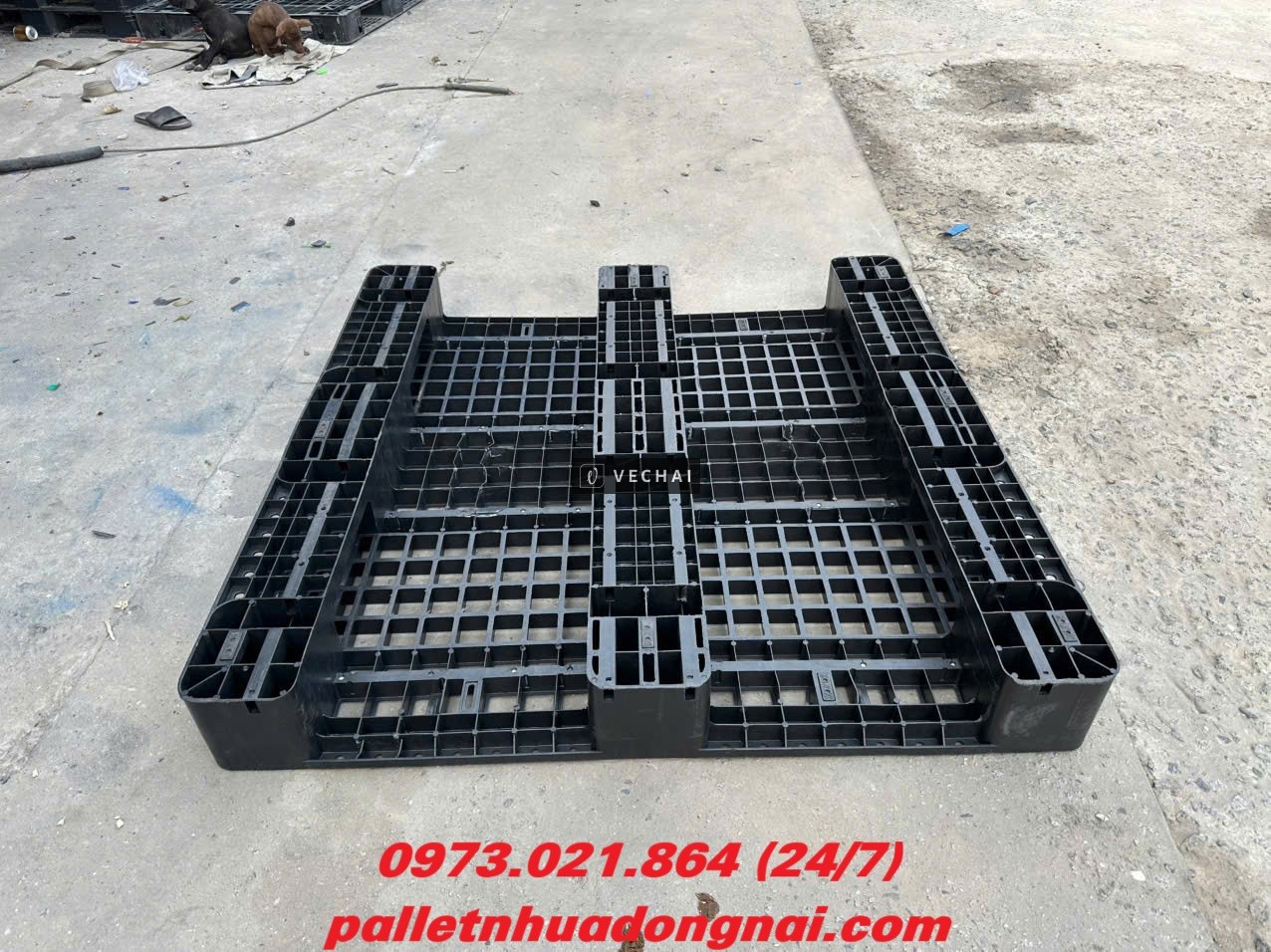 Thanh Lý Lô Pallet Nhựa Cũ Giá Rẻ – Hàng Đẹp Như Mới!