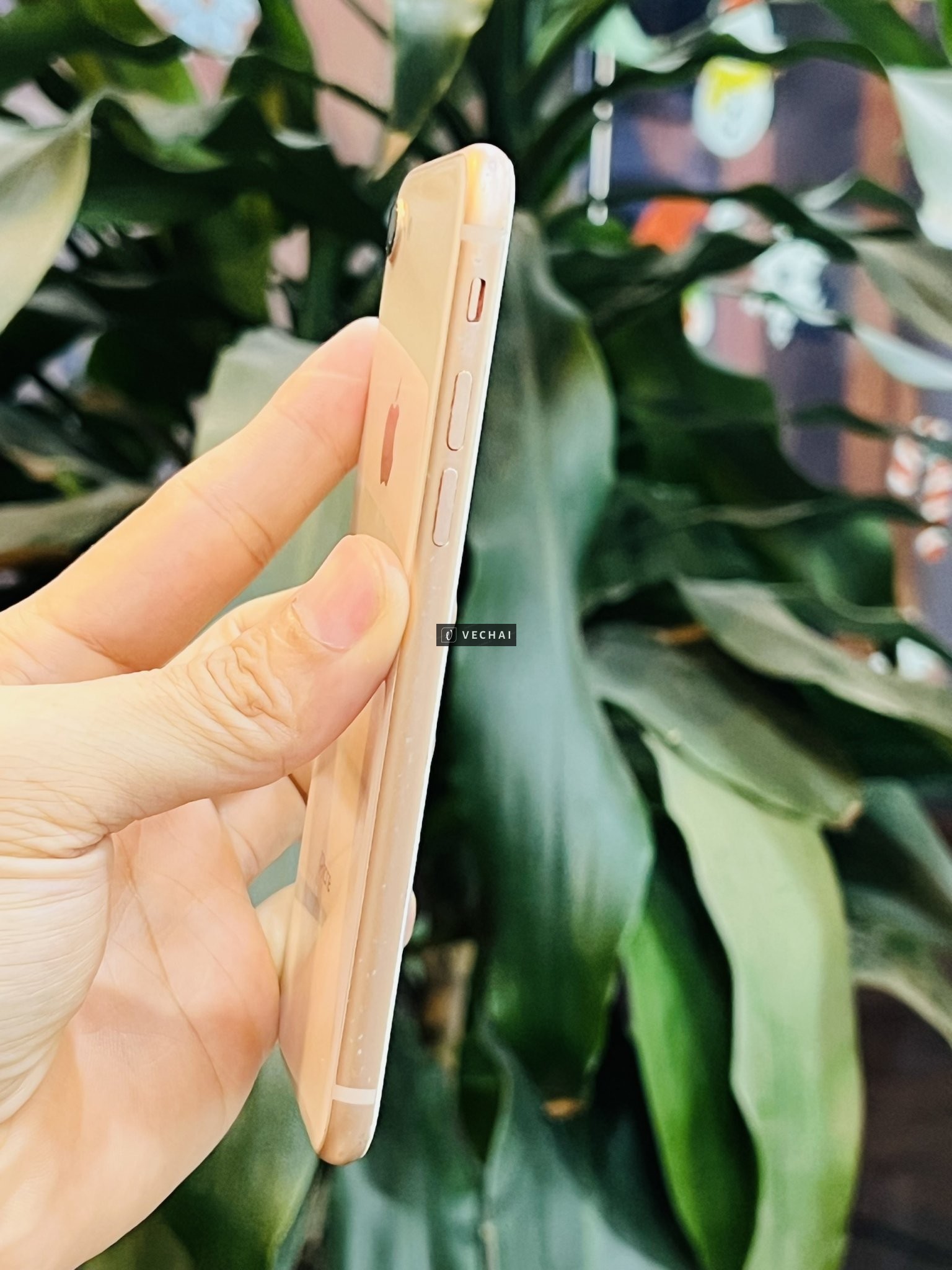IPHONE 8 64GB QUỐC TẾ