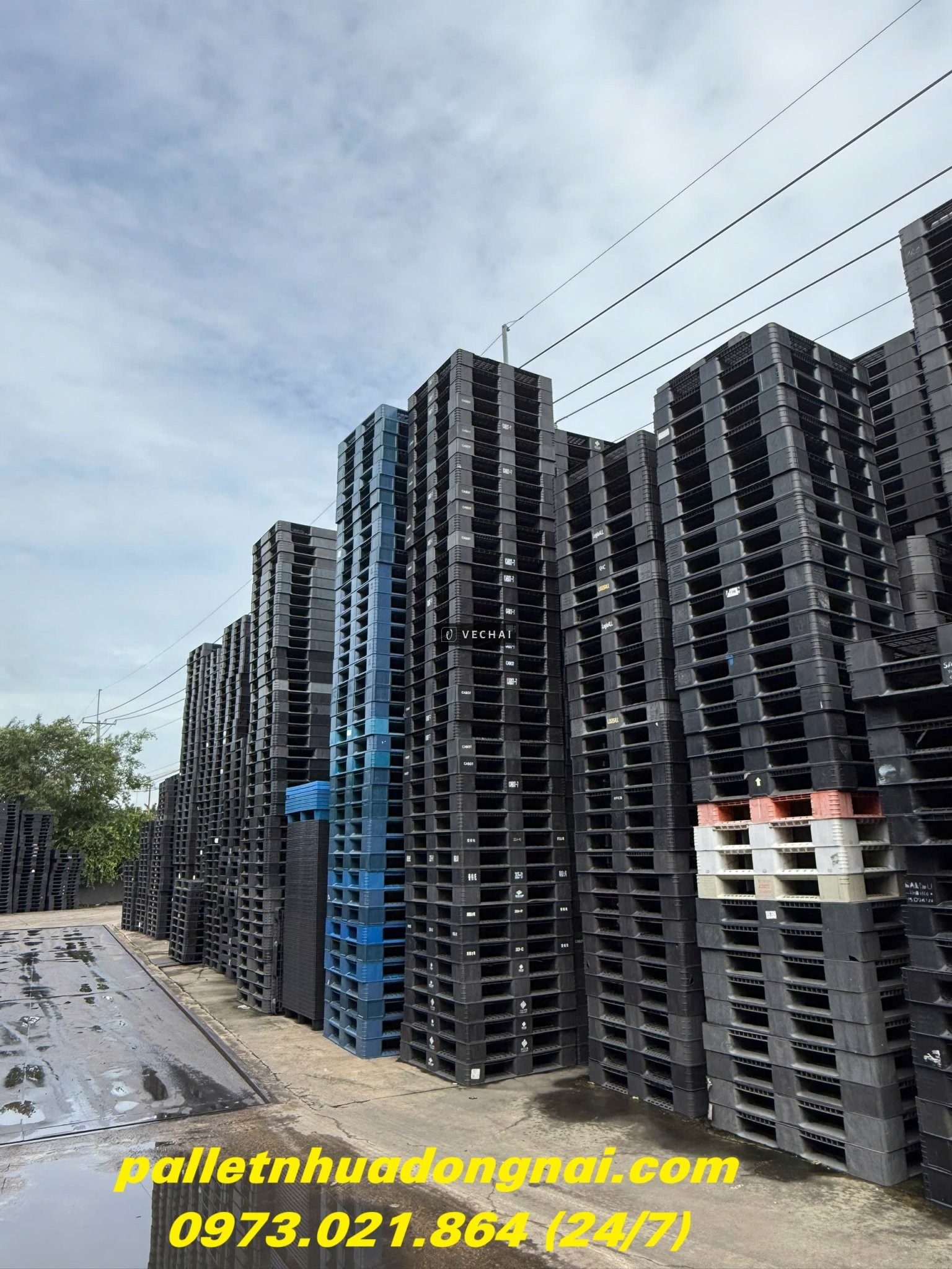 Xả Kho Pallet Nhựa Giá Rẻ Nhất Thị Trường – Giao Hàng Miễn Phí Tận Nơi