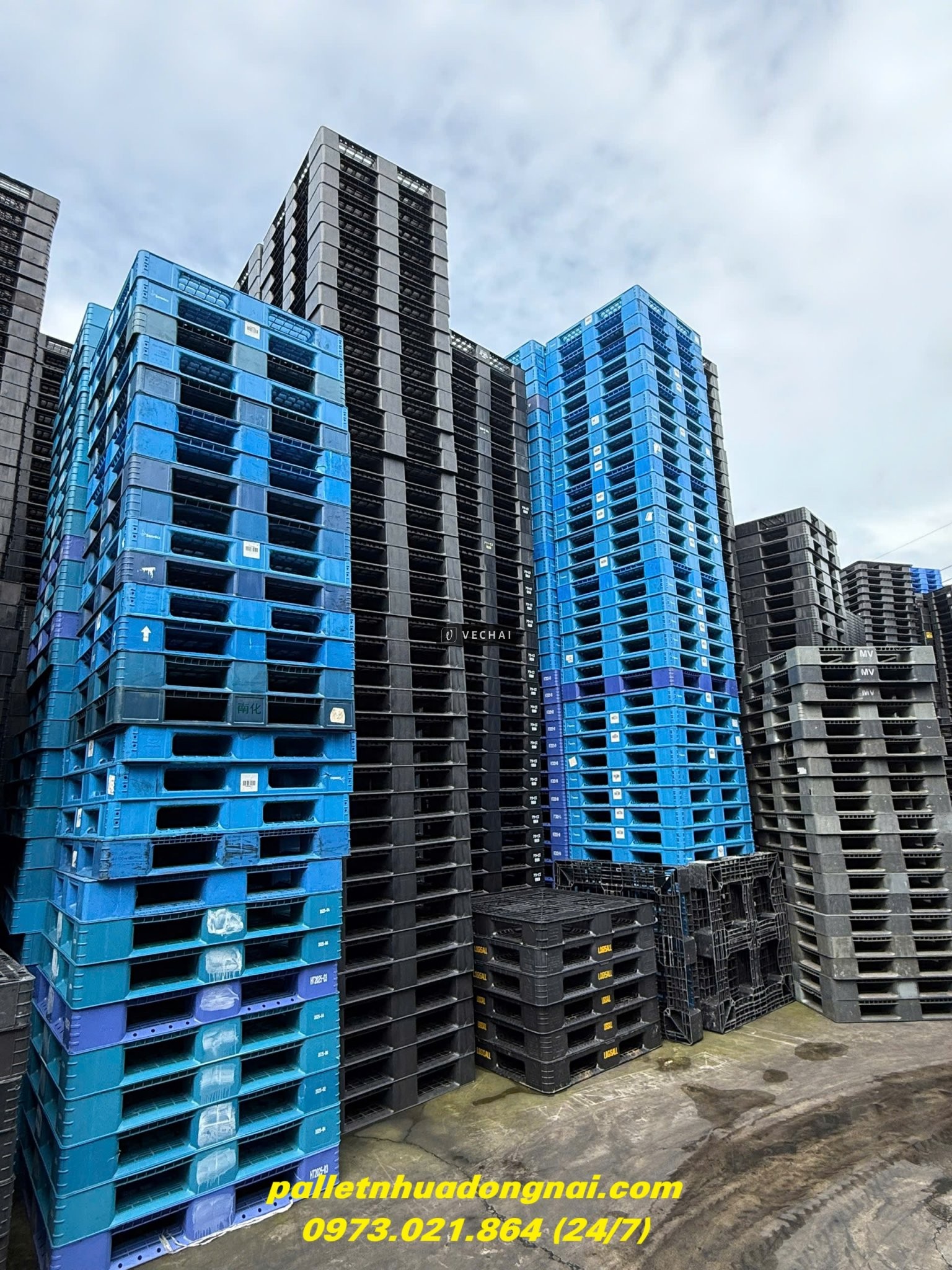 Xả Kho Pallet Nhựa Giá Rẻ Nhất Thị Trường – Giao Hàng Miễn Phí Tận Nơi