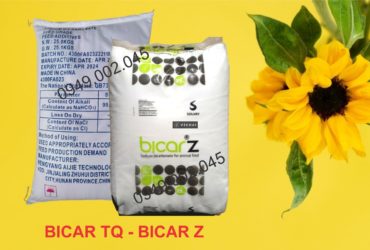 Sodium Bicarbonate – Soda lạnh nâng kiềm ao nuôi tôm cá