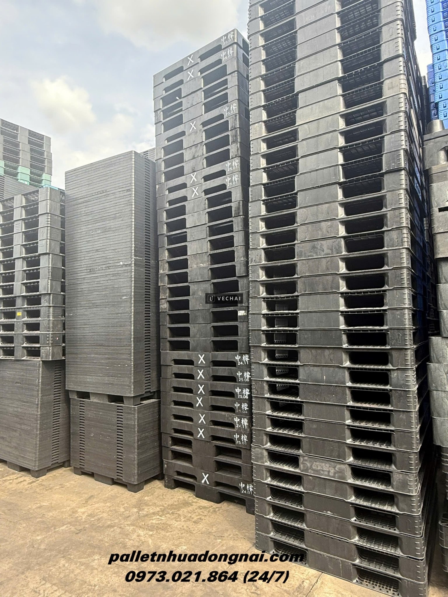 Xả Kho Giá Sập Sàn – Thanh Lý Pallet Nhựa Cũ Giá Rẻ Nhất Năm!!!