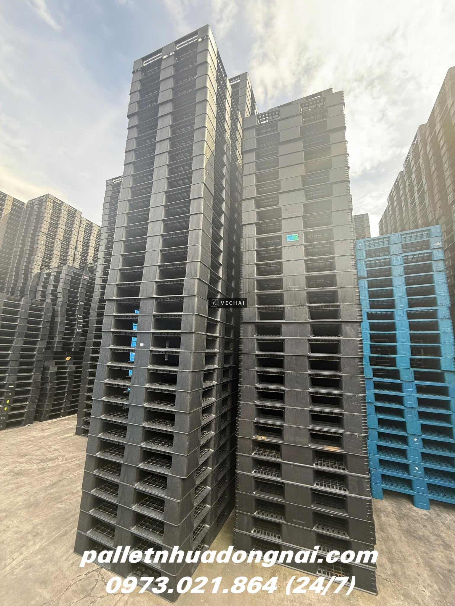 Xả Kho Giá Sập Sàn – Thanh Lý Pallet Nhựa Cũ Giá Rẻ Nhất Năm!!!