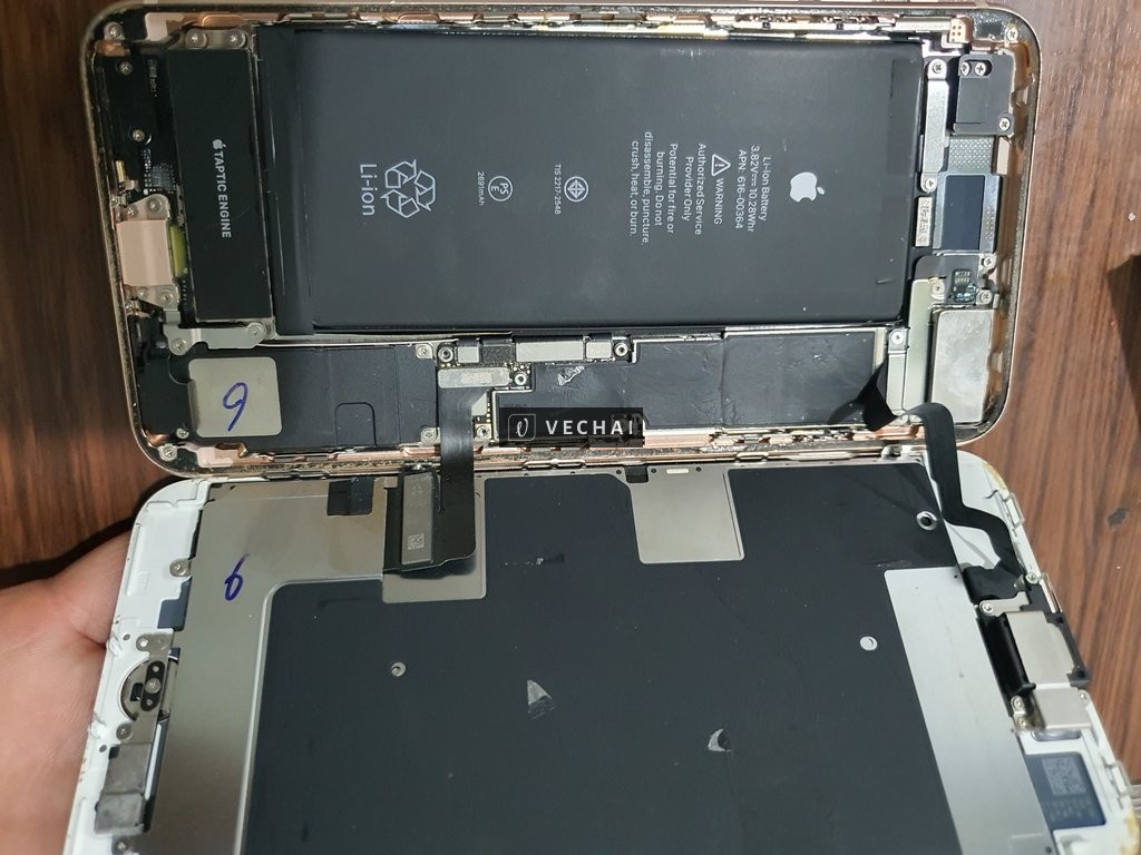 Bán 8plus 64g quốc tế