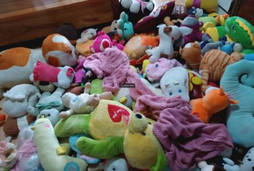 Khoảng 100 gấu bông si, size đại đến size mini