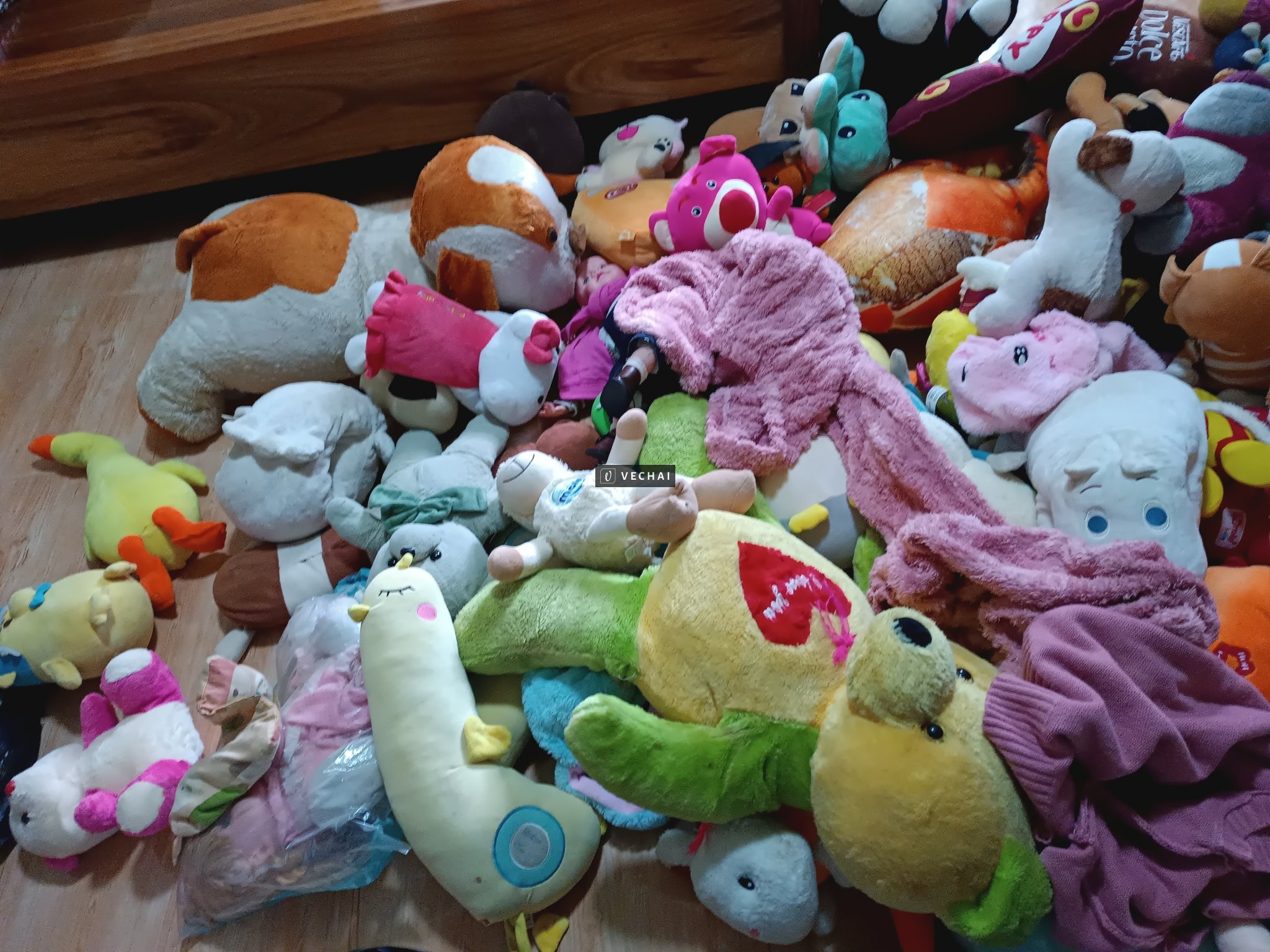 Khoảng 100 gấu bông si, size đại đến size mini