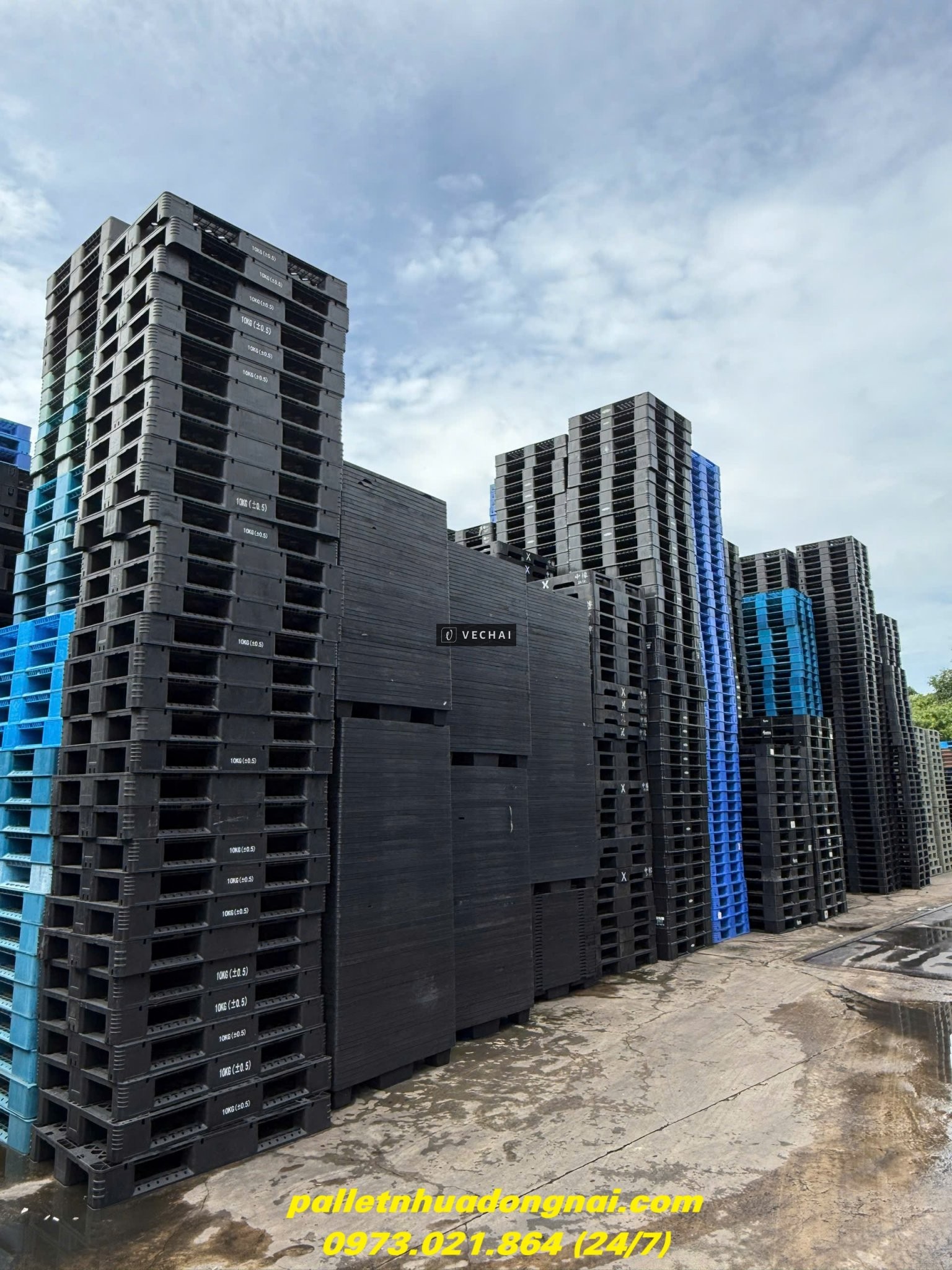 Thanh Lý Pallet Nhựa Giá Rẻ – Mua Nhanh Kẻo Hết