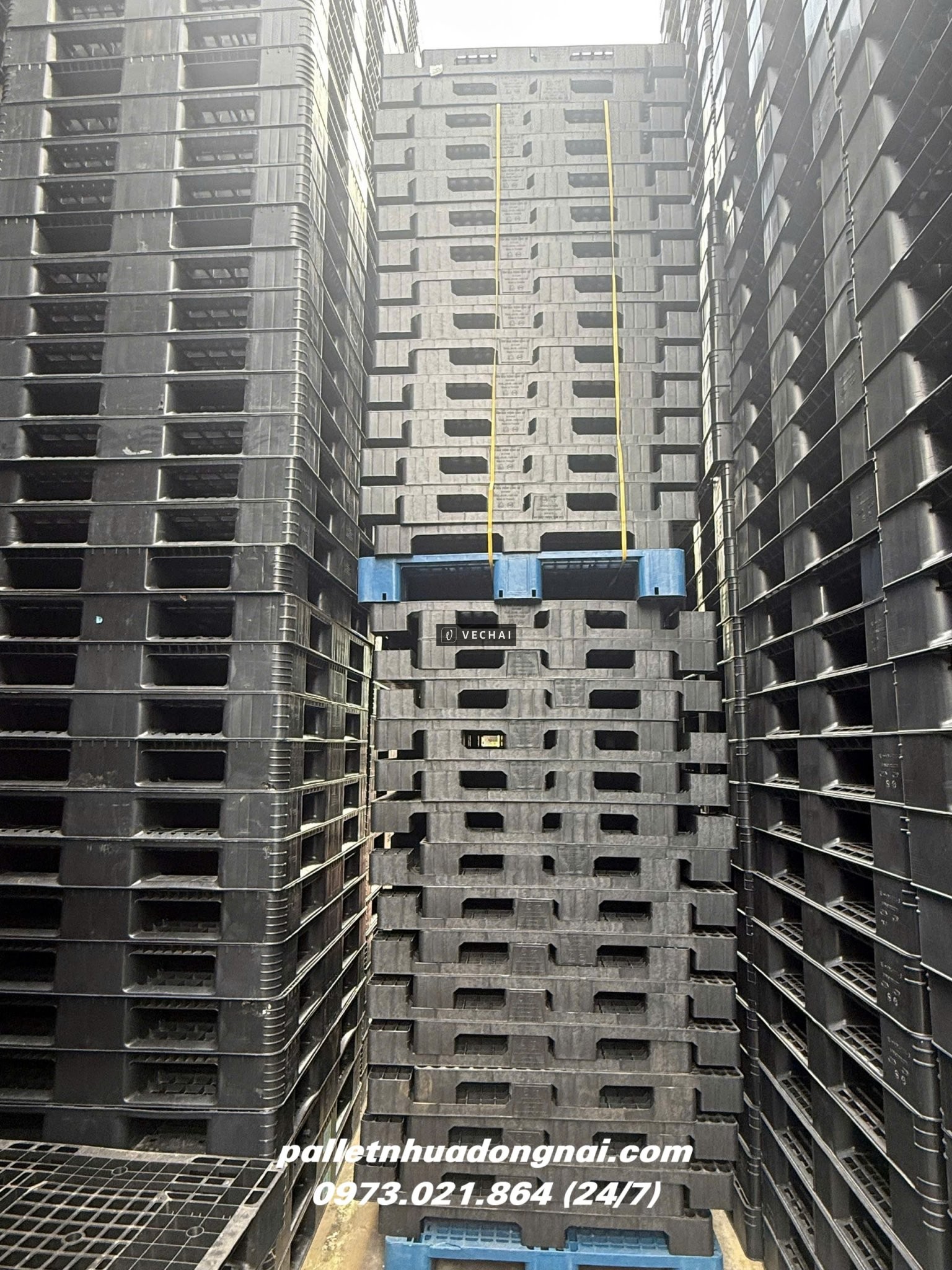 Thanh Lý Pallet Nhựa Giá Rẻ – Mua Nhanh Kẻo Hết