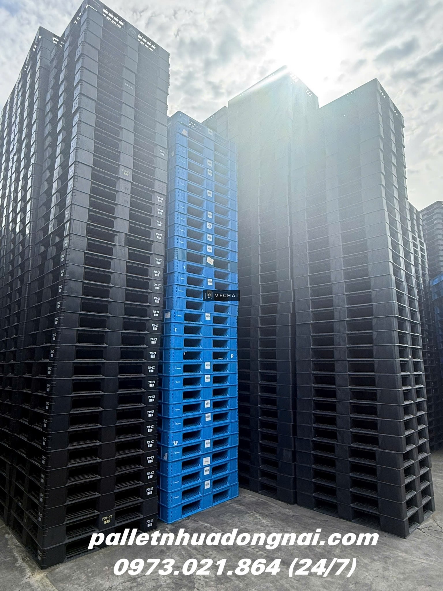 Thanh Lý Pallet Nhựa Giá Rẻ – Mua Nhanh Kẻo Hết