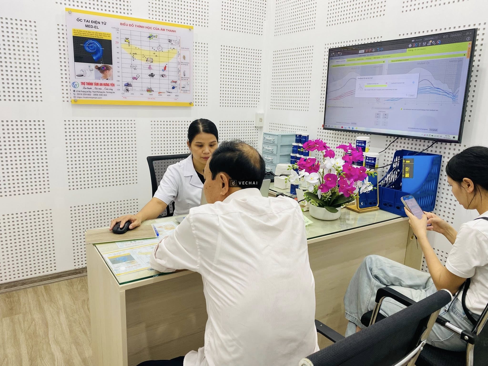 Máy trợ thính Phonak Terra