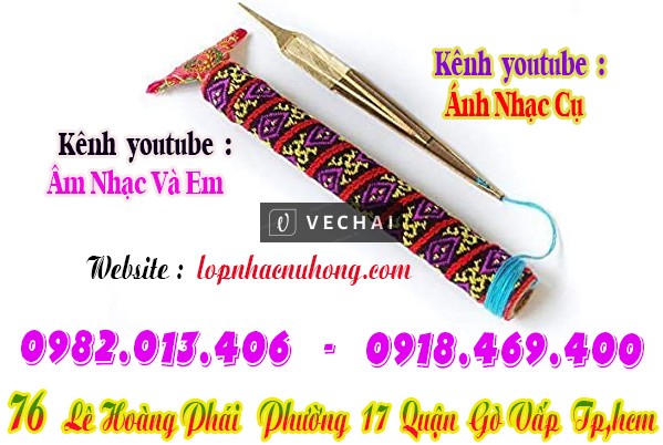 Mua đàn môi tại Nhạc Cụ Nụ Hồng Gò Vấp ( Tp.hcm )