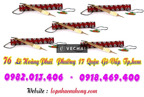 Mua đàn môi tại Nhạc Cụ Nụ Hồng Gò Vấp ( Tp.hcm )