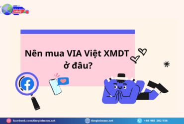 Top Lưu Ý Khi Mua VIA XMDT