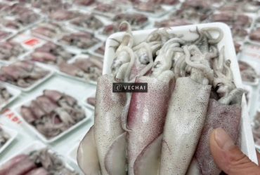 Thi công lắp đặt kho lạnh tại HCM