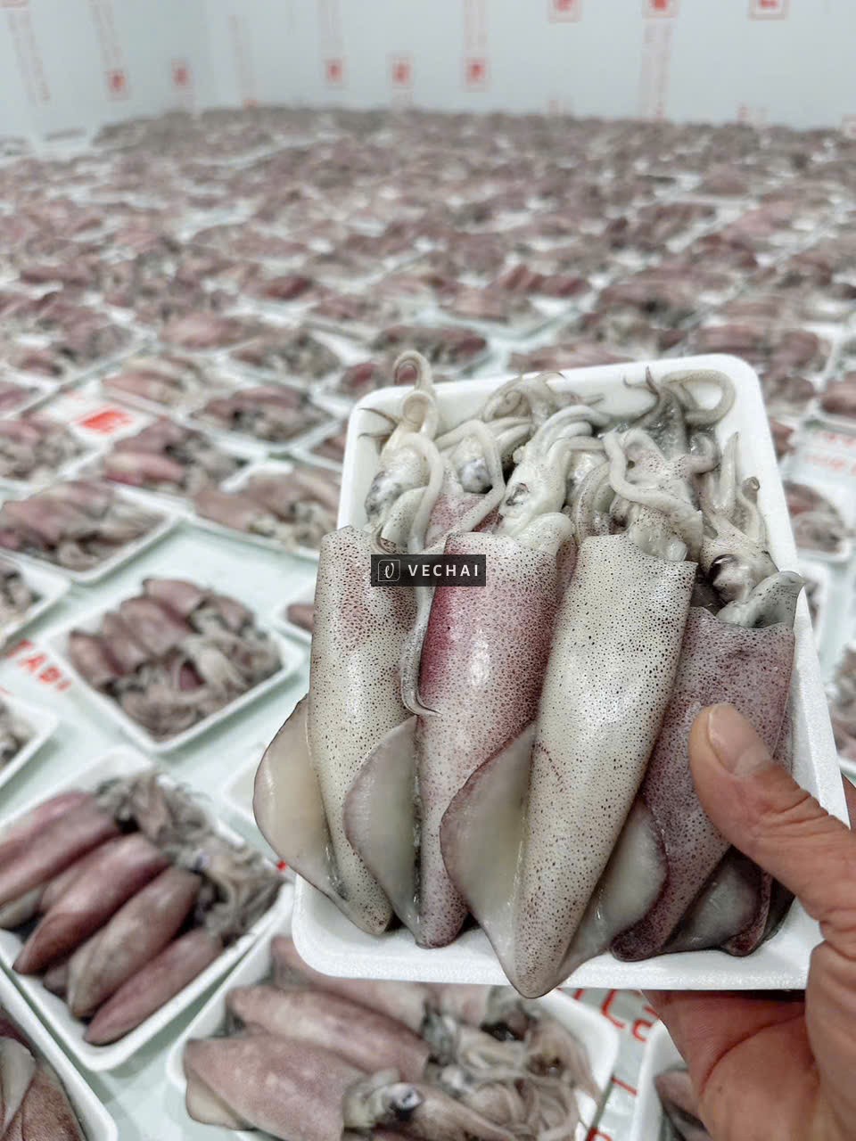 Thi công lắp đặt kho lạnh tại HCM