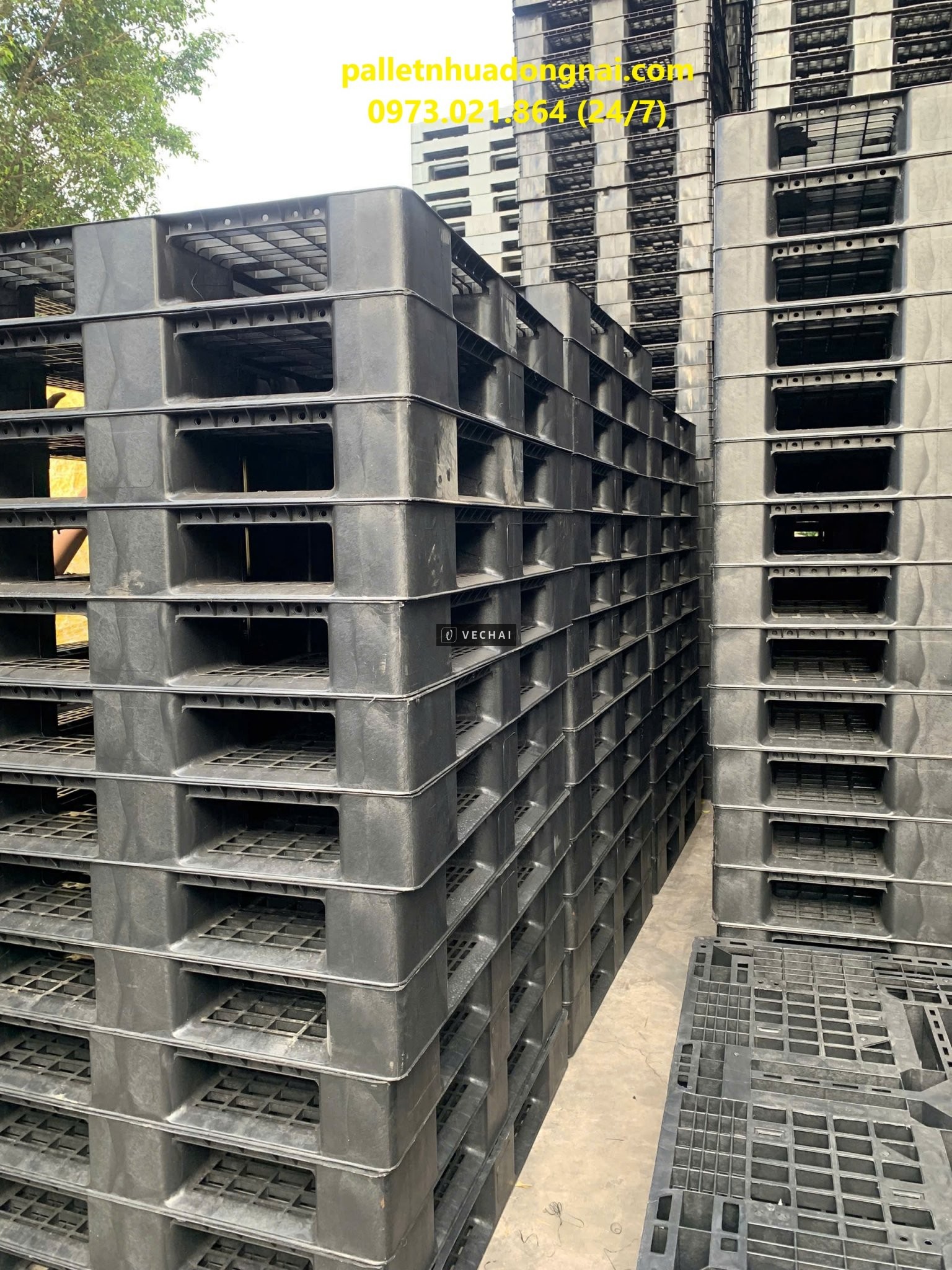 Thanh Lý Pallet Nhựa Giá Rẻ – Giảm Sâu Xả Kho!