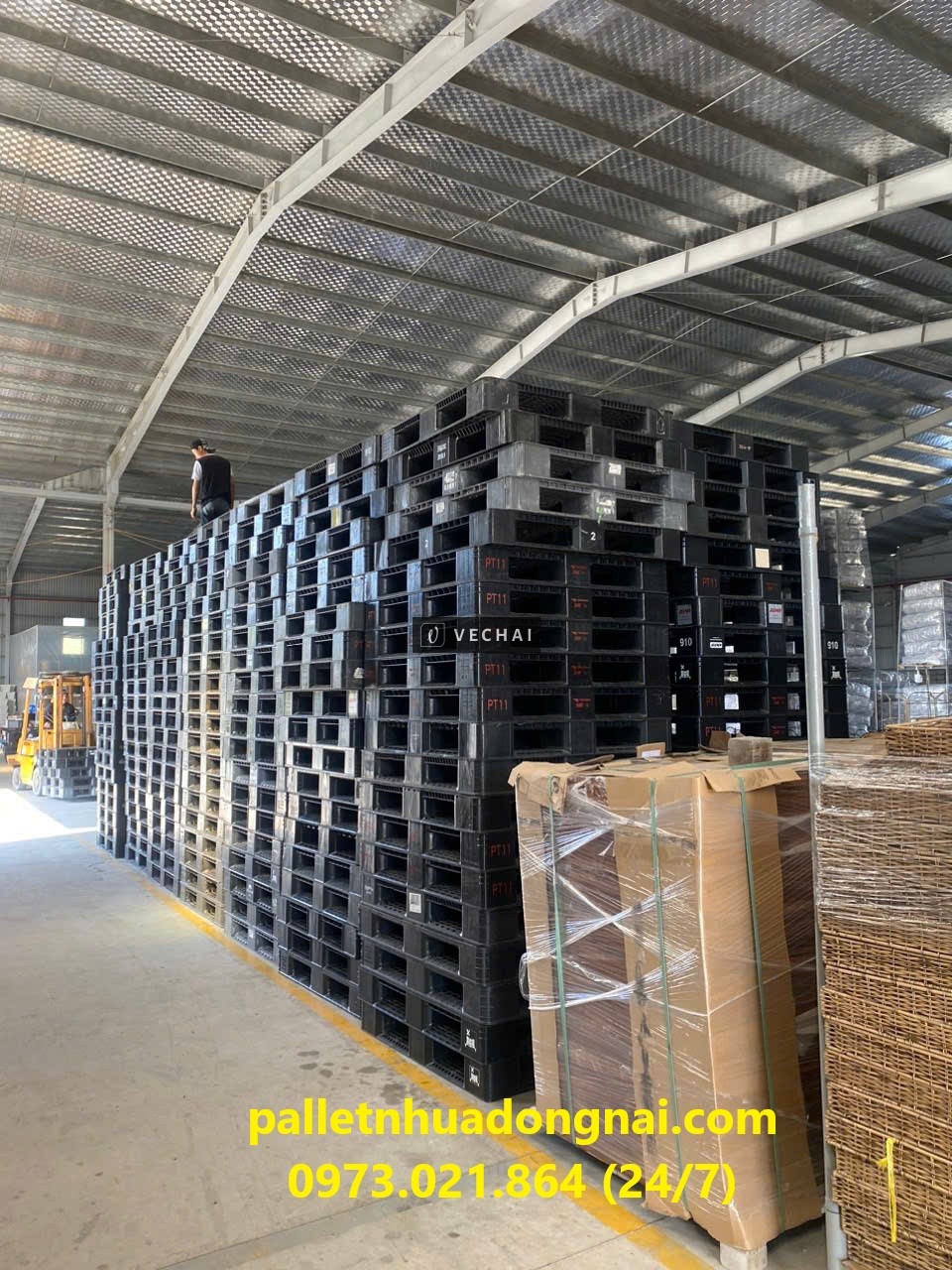 Thanh Lý Pallet Nhựa Giá Rẻ – Giảm Sâu Xả Kho!