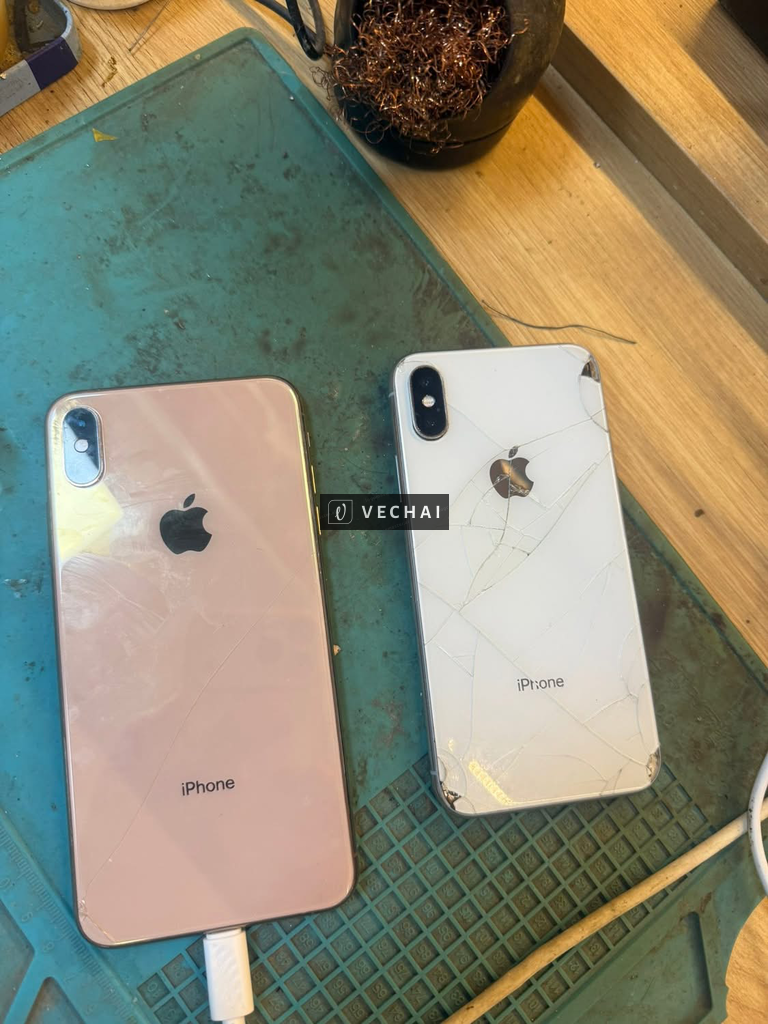 Bán X và xsm vỡ kính vỡ lưng