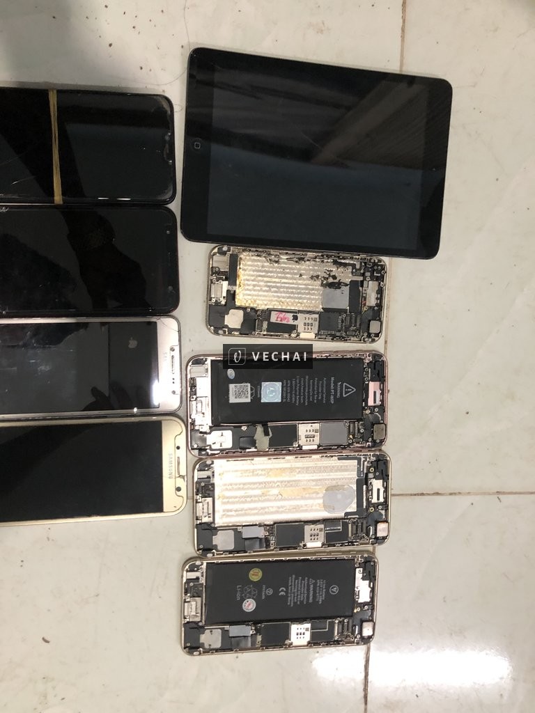 Bán Xác tổng hộp