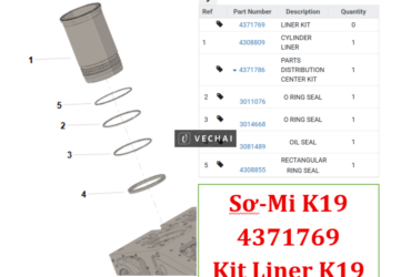 4371769 Sơ Mi – Liner Kit Cummins K19 / QSK19 Chính Hãng