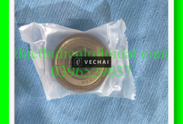 Bạc đạn, Vòng bi Nachi 6303ZZE