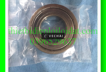 Bạc đạn, Vòng bi SKF 6209-2Z