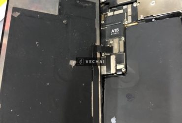 Bán màn 13promax mực chấm tròn