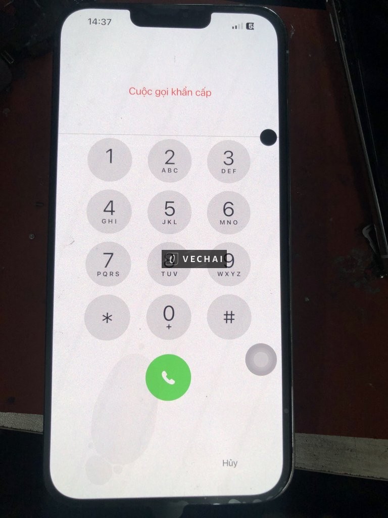 Bán màn 13promax mực chấm tròn