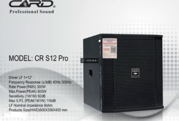 LOA SUB CARD, DMX, LSPRO, GT, AP ASCOUTIC, JBL ĐẸP HẾT Ý, GIÁ HỢP LÝ