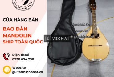 Shop đàn mandolin giá rẻ quận Bình Tân Tphcm – ship tận nơi