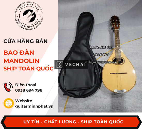 Shop đàn mandolin giá rẻ quận Bình Tân Tphcm – ship tận nơi