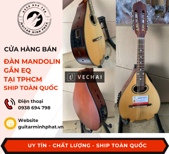 Shop đàn mandolin giá rẻ quận Bình Tân Tphcm – ship tận nơi