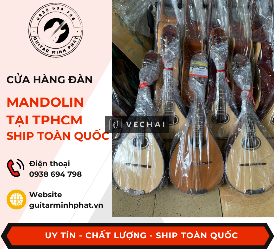 Shop đàn mandolin giá rẻ quận Bình Tân Tphcm – ship tận nơi