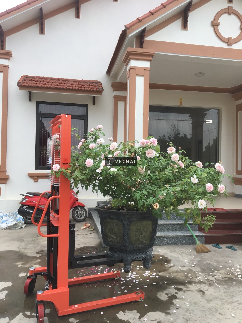 Bán xe nâng cây cảnh taị Hà Nội