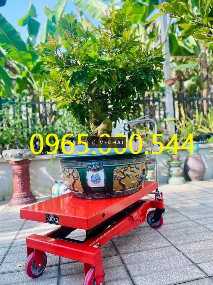 Báo giá xe nâng vận chuyển cây cảnh mới nhất