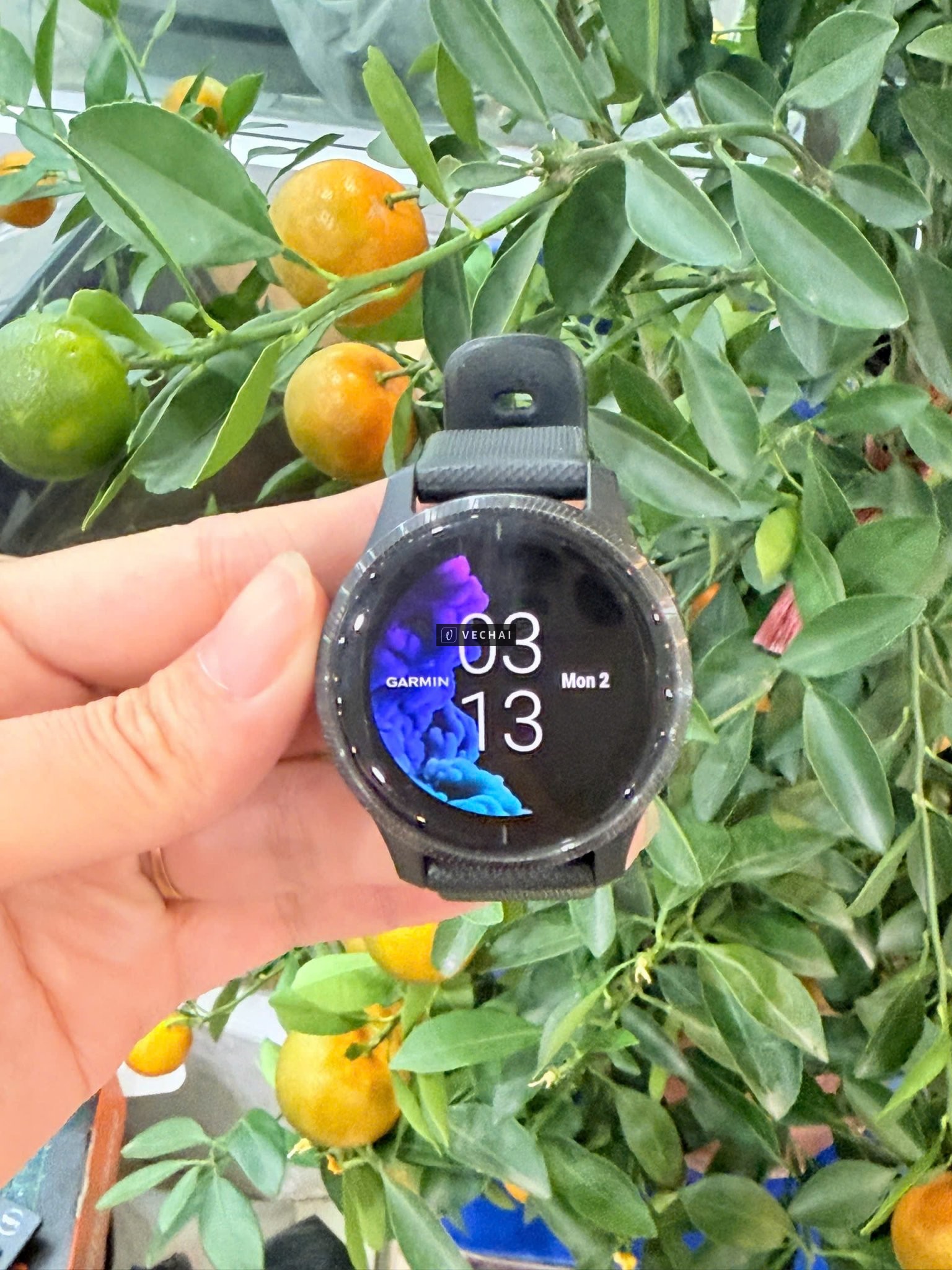 Đồng hồ thông minh Garmin Venu màn oled hiển thị cực đẹp –  thiết kế năng động thời trang, – Có hiển