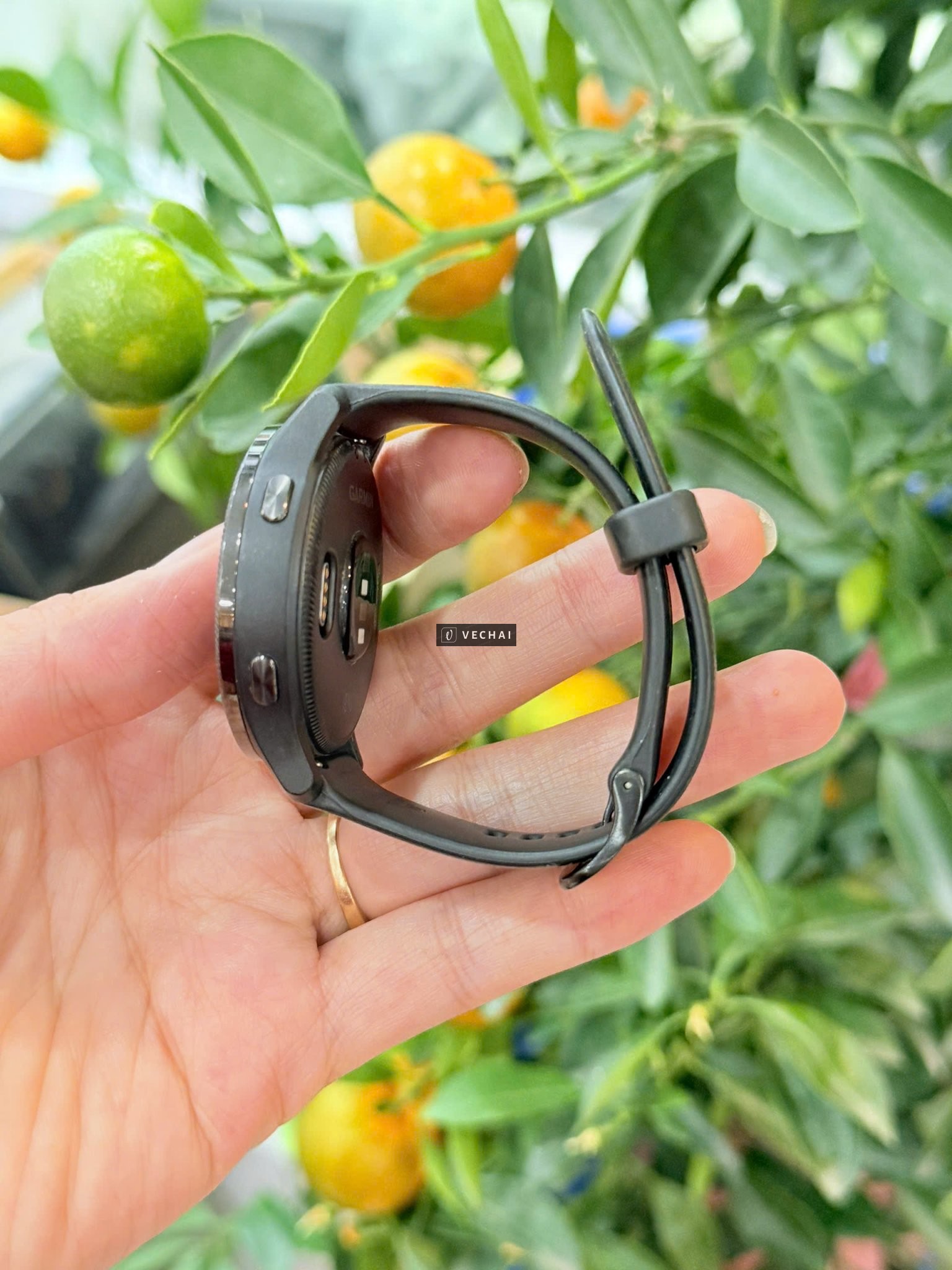 Đồng hồ thông minh Garmin Venu màn oled hiển thị cực đẹp –  thiết kế năng động thời trang, – Có hiển