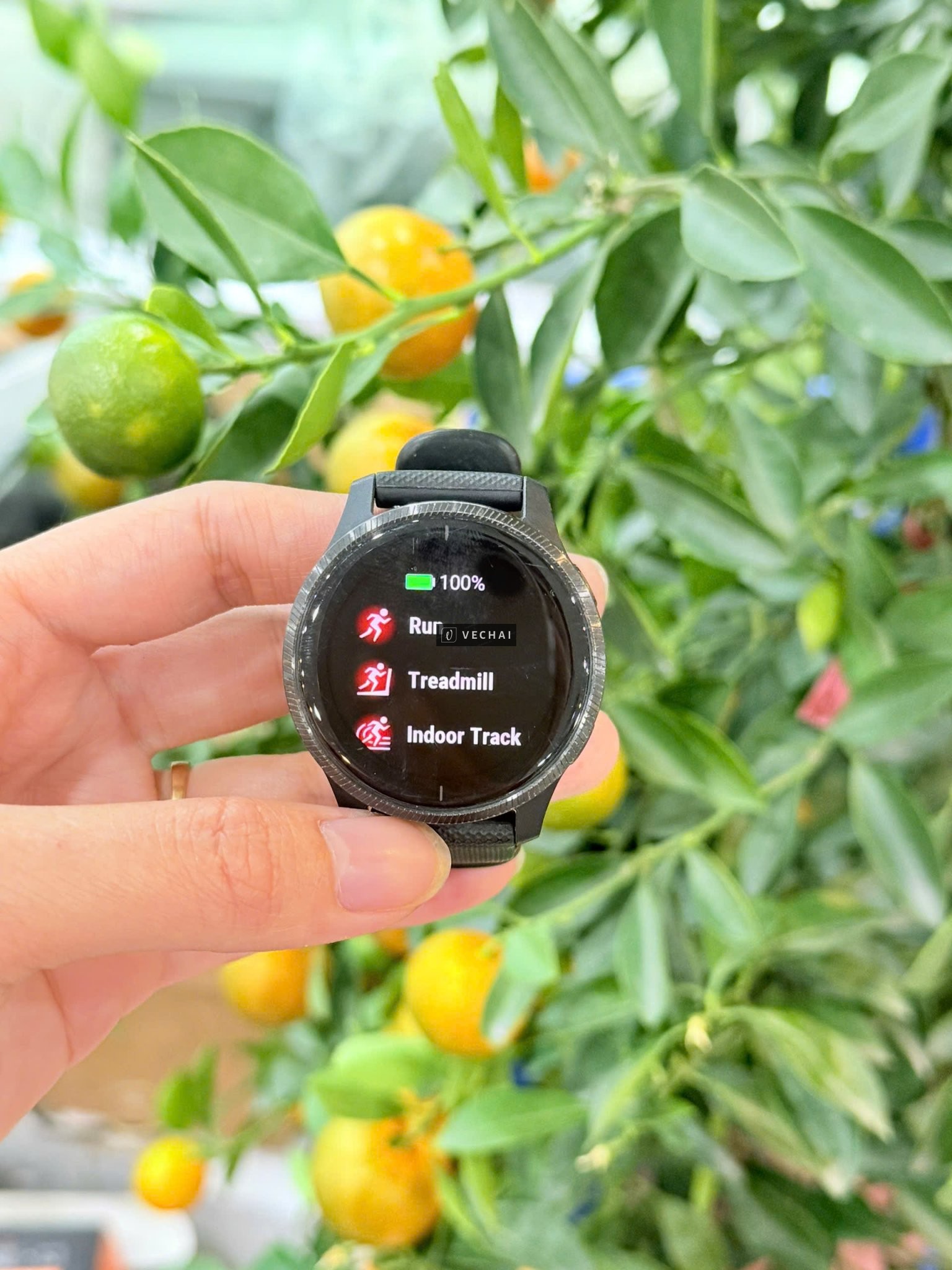 Đồng hồ thông minh Garmin Venu màn oled hiển thị cực đẹp –  thiết kế năng động thời trang, – Có hiển