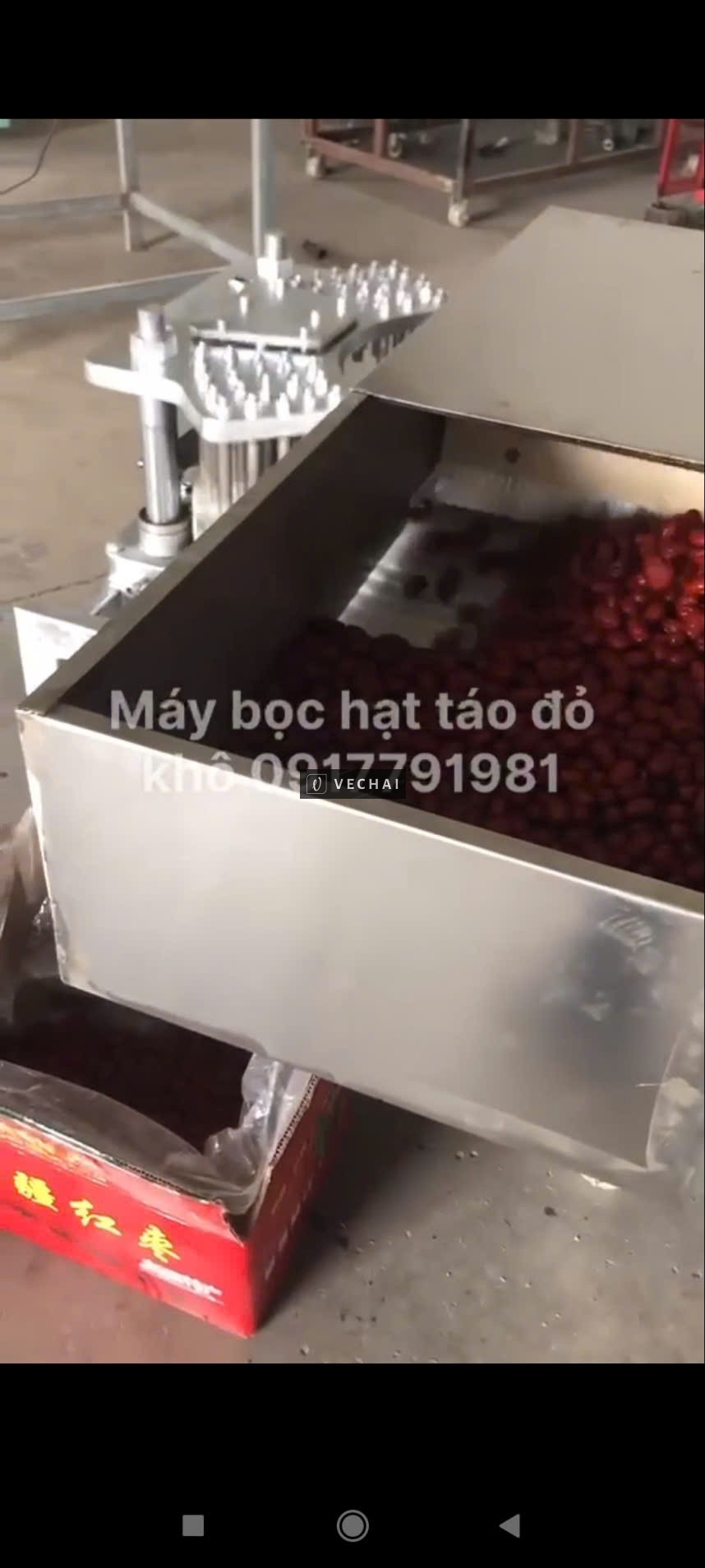 Máy tách hạt táo đỏ công nghiệp