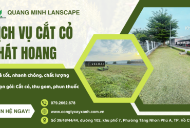 Dịch Vụ Cắt Cỏ Phát Hoang Tại Đồng Nai, TP. HCM